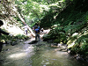 CA3I0101_thumb.png