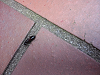 CA3I0125_thumb.png