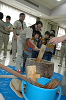 DSC_7927_thumb.png