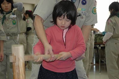 DSC_7937.jpg