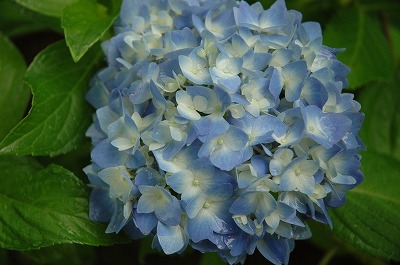 DSC_8923.jpg