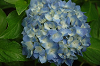 DSC_8923_thumb.png