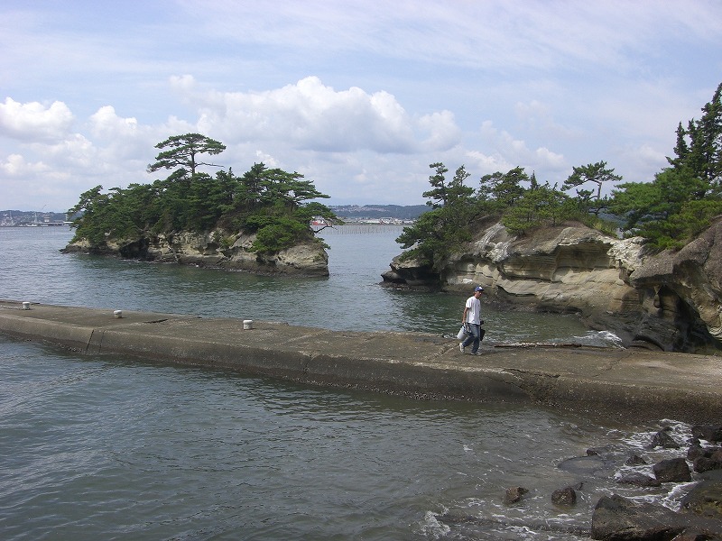 CIMG0875.jpg