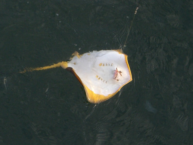 CIMG0880.jpg