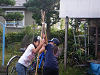 IMGP5305_thumb.png