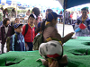 P1060417_thumb.png