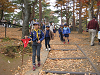 IMG_0035_thumb.png