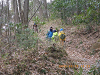 IMGP5340_thumb.png