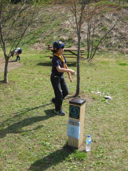 037.jpg