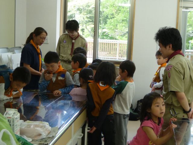P1010172.JPG
