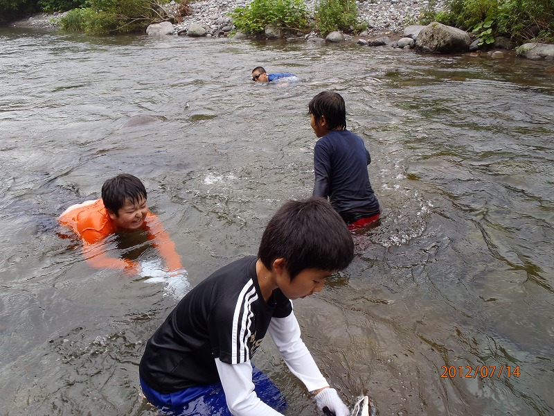 P7140010.jpg