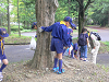 P1070090_thumb.png