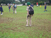 P1070104_thumb.png