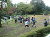 IMG_0731_thumb.png
