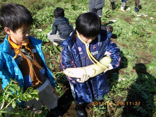 IMGP5004.jpg
