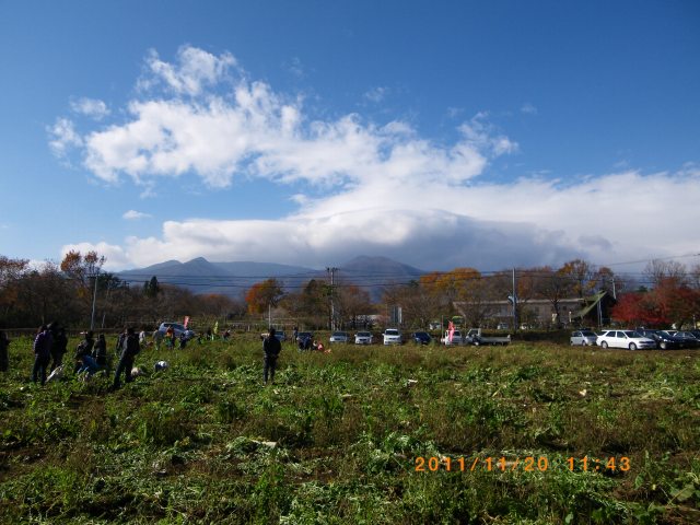 IMGP5006.jpg