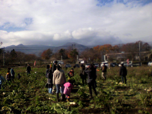 P1000022.JPG