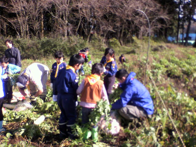 P1000026.JPG