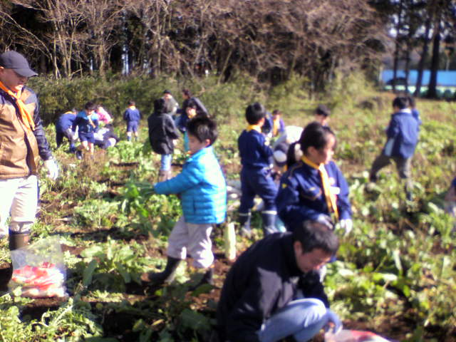P1000027.JPG