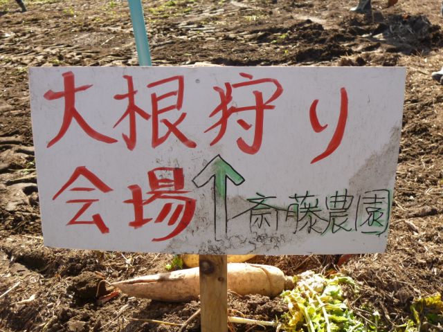 P1000561.JPG