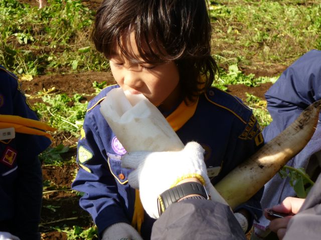 P1000566.JPG