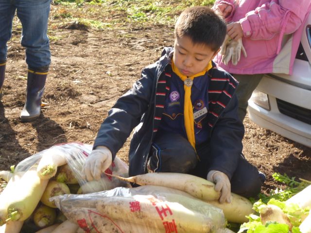 P1000569.JPG