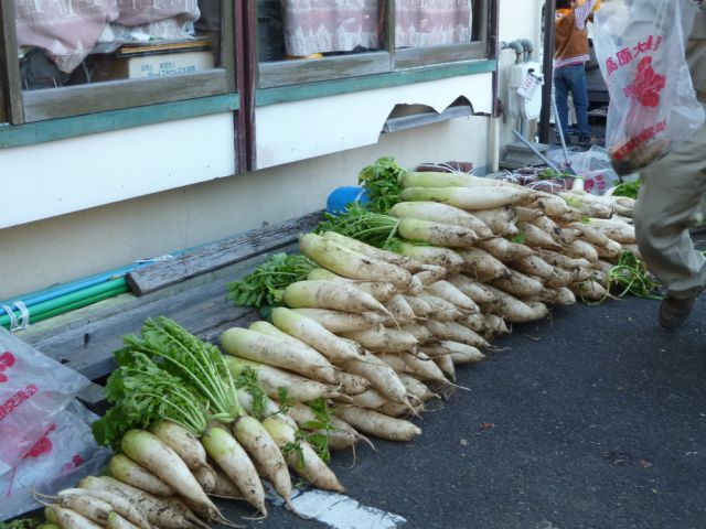 P1000574.JPG