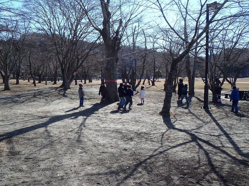 P2170020.jpg