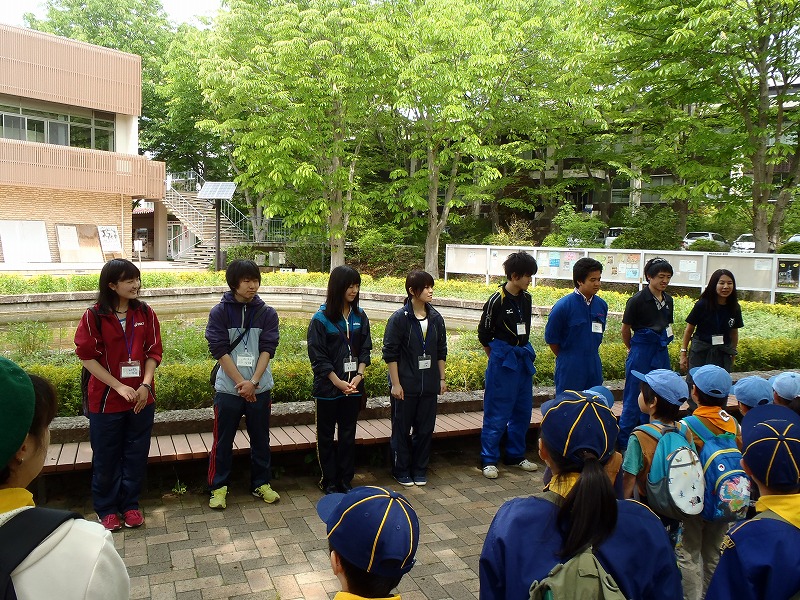 P5260005.jpg