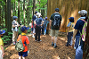 DSC_0517_thumb.png