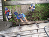 P7140101_thumb.png