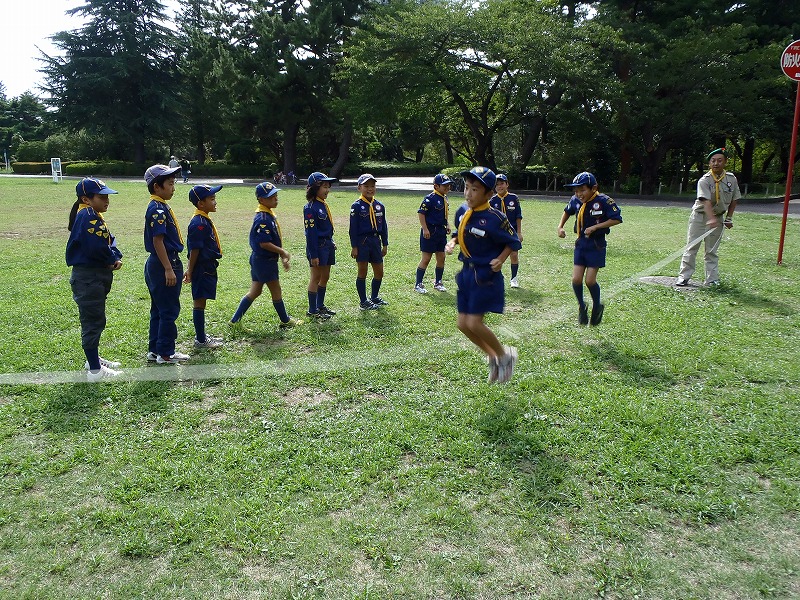 P9090132.jpg