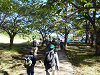 PA140029_thumb.png
