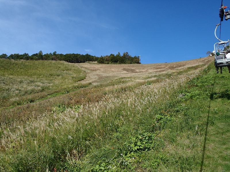 PA140043.jpg