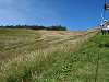 PA140043_thumb.png
