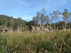 PA140049_thumb.png