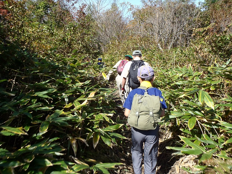 PA140053.jpg