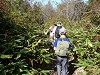 PA140053_thumb.png
