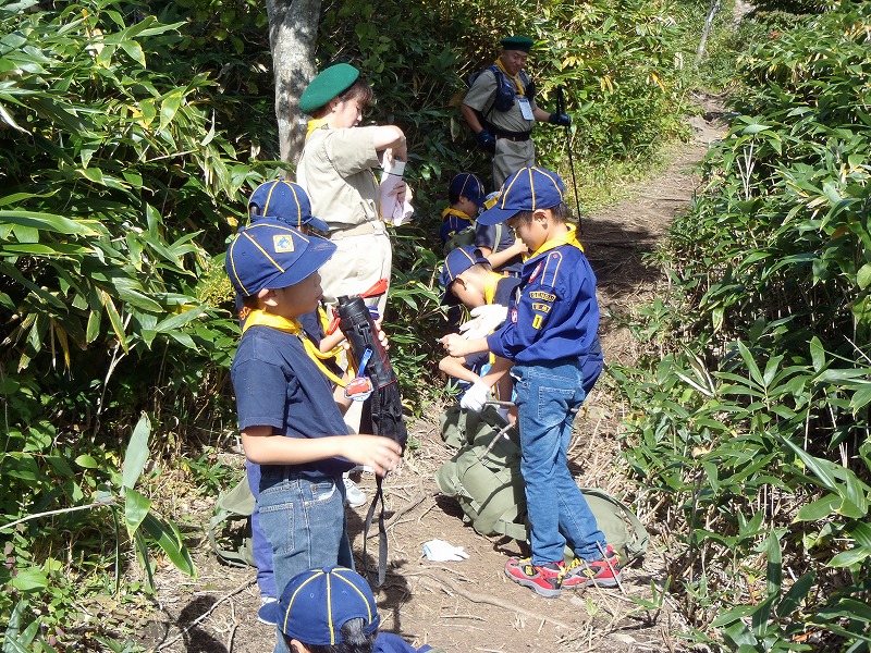 PA140059.jpg