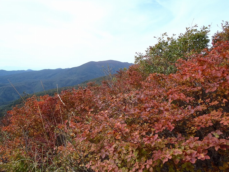 PA140073.jpg