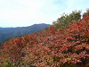 PA140073_thumb.png