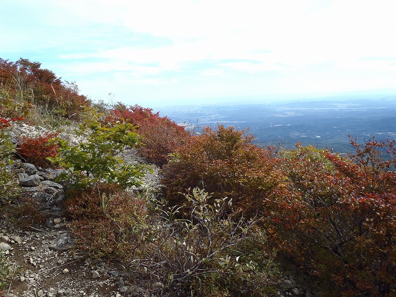 PA140074.jpg