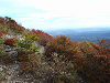 PA140074_thumb.png