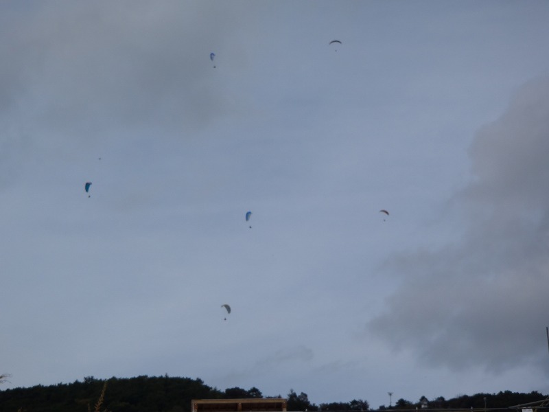 PA140084.jpg