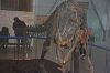 DSC_4995_thumb.png