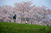 DSC_7073_thumb.png