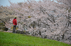 DSC_7097_thumb.png