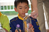 DSC_9136_thumb.png