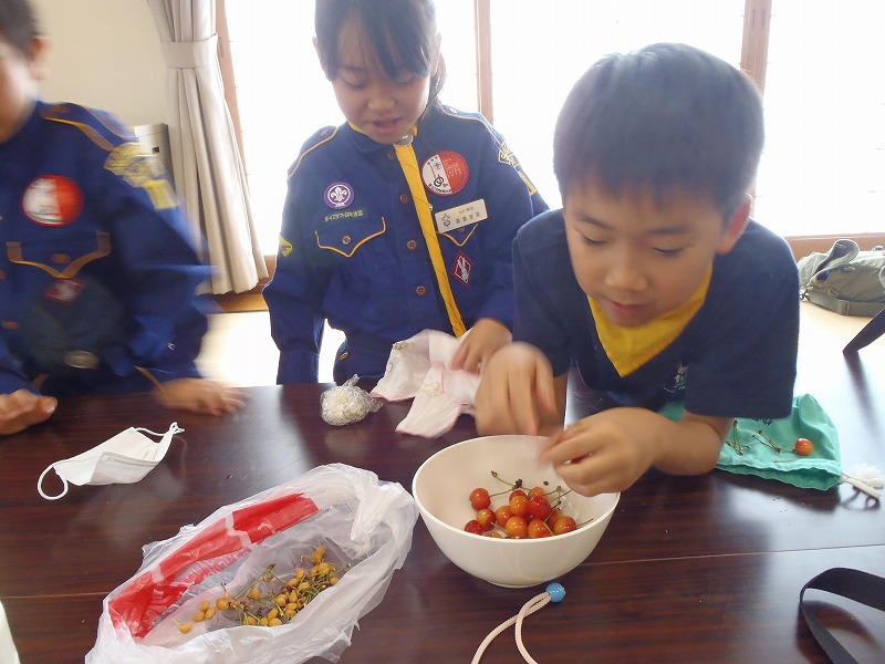 P6150051.jpg