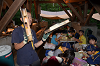 DSC_3593_thumb.png